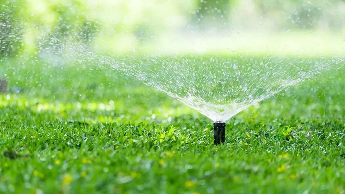 Local Business Thrives with Expert Irrigation Solutions